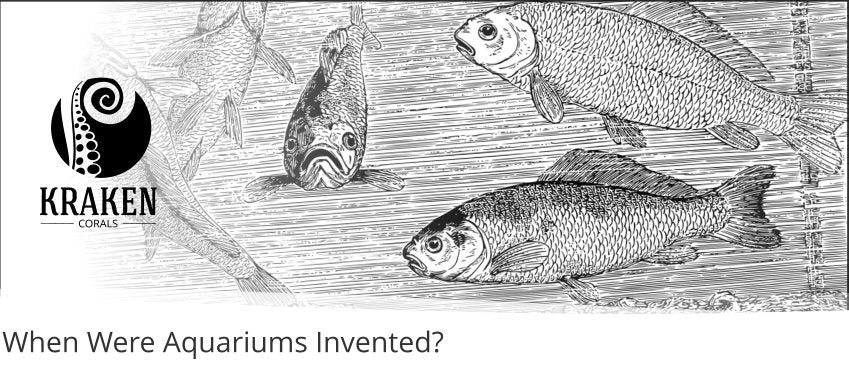 When Were Aquariums Invented?