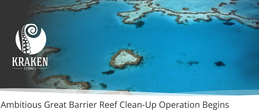 Ambitious Great Barrier Reef Clean-Up Operation Begins