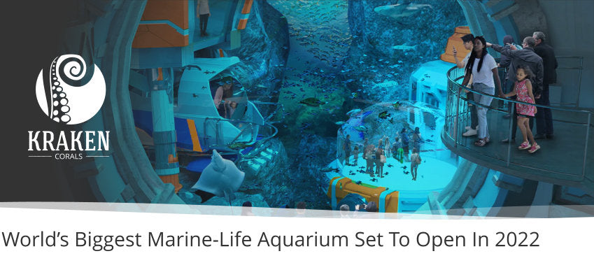 Worldâ€™s Biggest Marine-Life Aquarium Set To Open In 2022