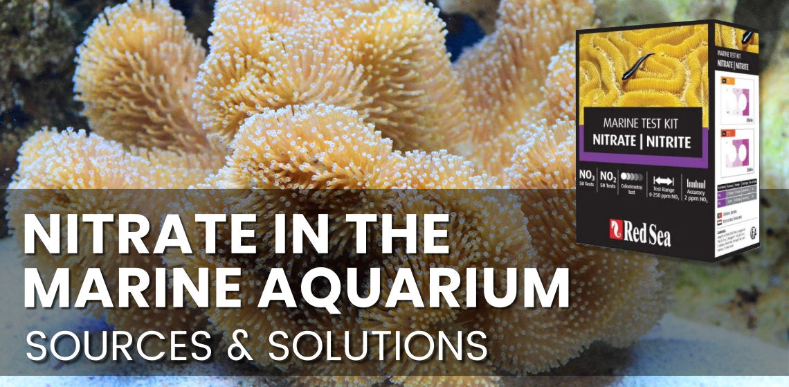 Nitrate in the Marine Aquarium