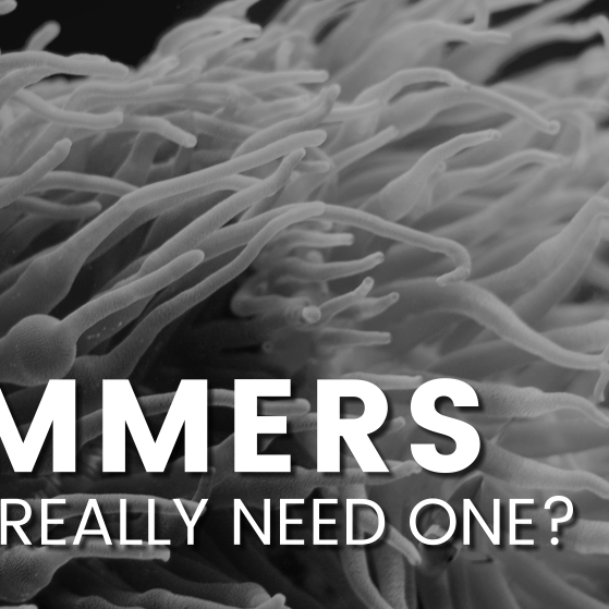 Skimmers, Do you really need one?