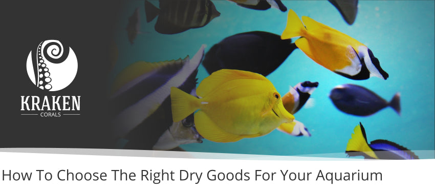 How To Choose The Right Dry Goods For Your Aquarium