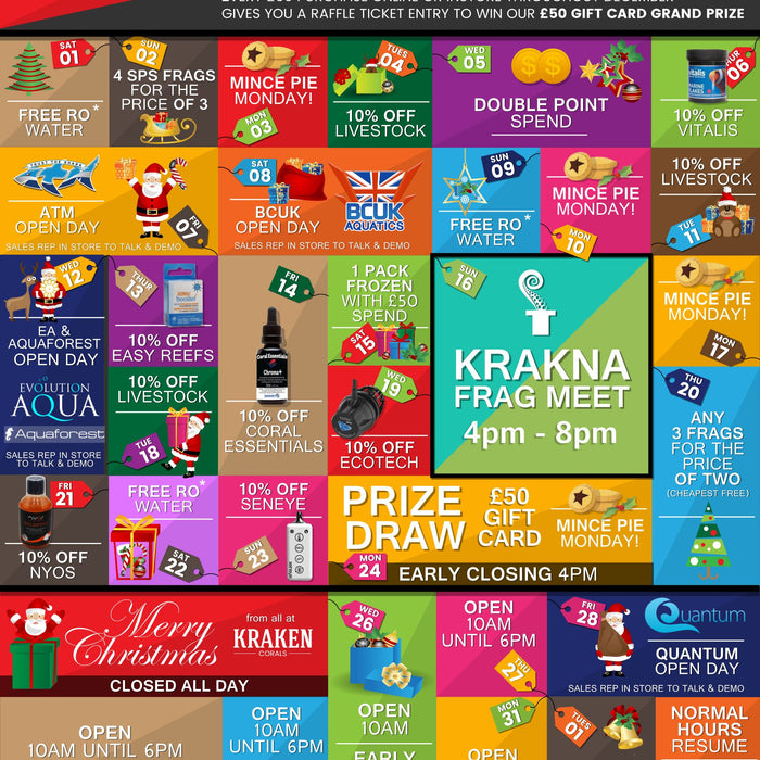 Christmas 2018 at Kraken Corals
