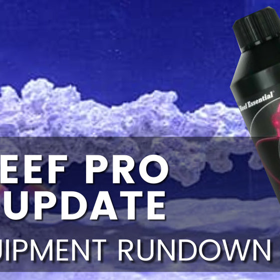 D-D Reef Pro 1200 Tank Update