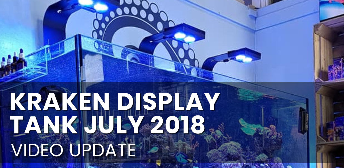 Kraken Display Tank july 2018