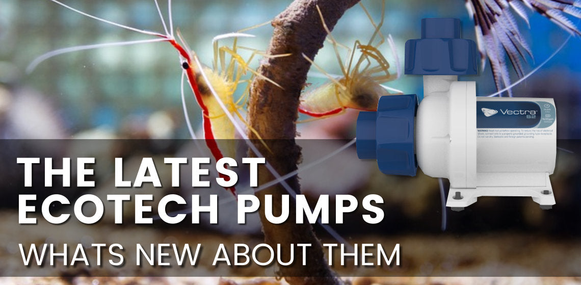 The latest Ecotech Pumps