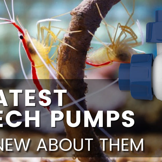 The latest Ecotech Pumps
