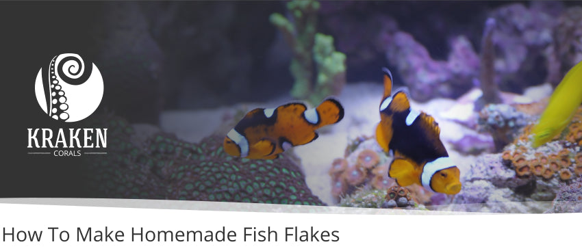 How To Make Homemade Fish Flakes