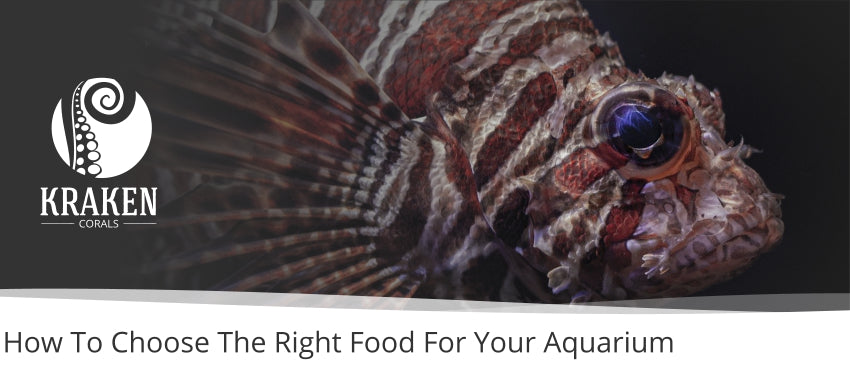 How To Choose The Right Food For Your Aquarium