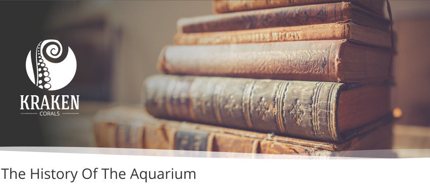 The History Of The Aquarium