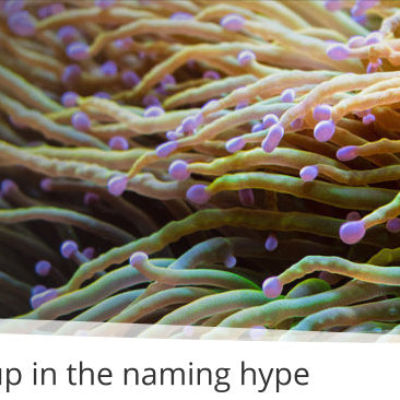 Don't get caught up in the naming hype