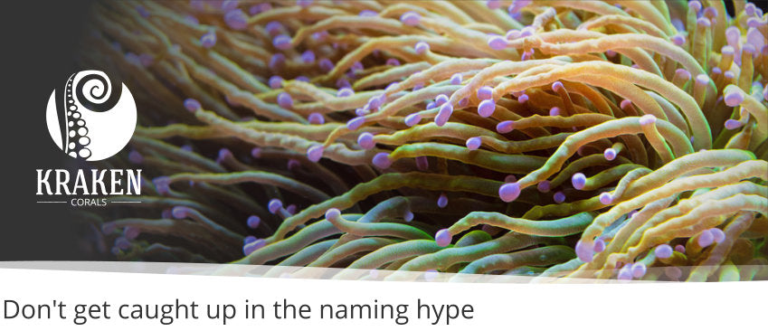 Don't get caught up in the naming hype
