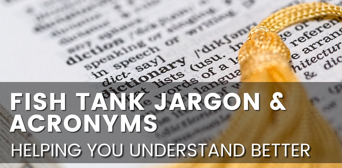 Fish Keeping Jargon & Acronyms