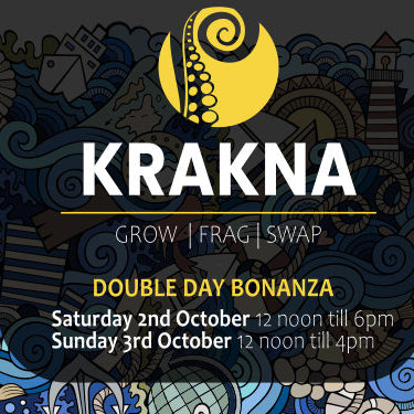 Krakna Frag Swap October 2021
