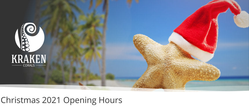 2021 Christmas Opening Hours
