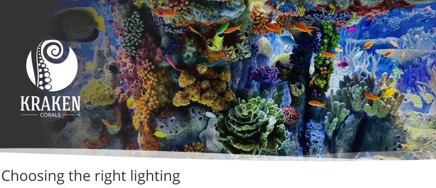 Tips For Choosing The Right Lighting For A Marine Aquarium