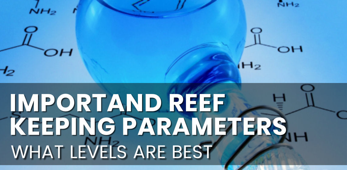 Important Reef Keeping Parameters