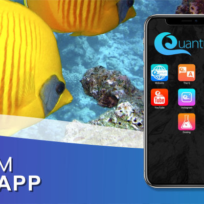 Quantum Aqua Dosing App for Apple and Android