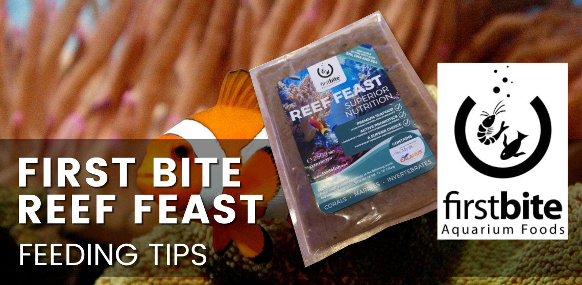 Firstbite Reef Feast, Premium frozen food.