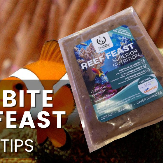 Firstbite Reef Feast, Premium frozen food.