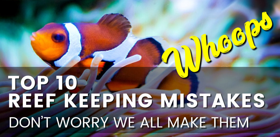 Top 10 Reef keeping mistakes