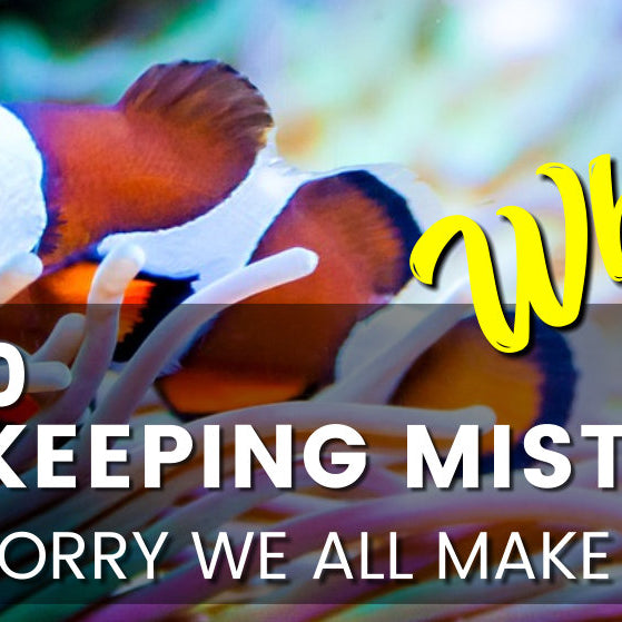 Top 10 Reef keeping mistakes