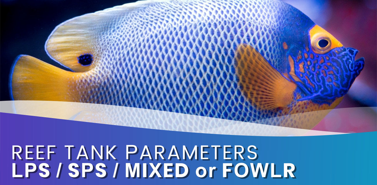 Parameters for your Reef