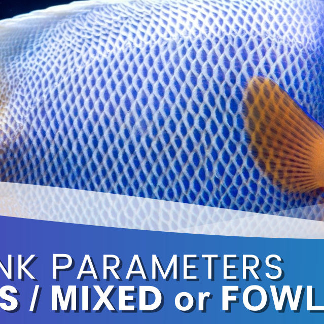 Parameters for your Reef