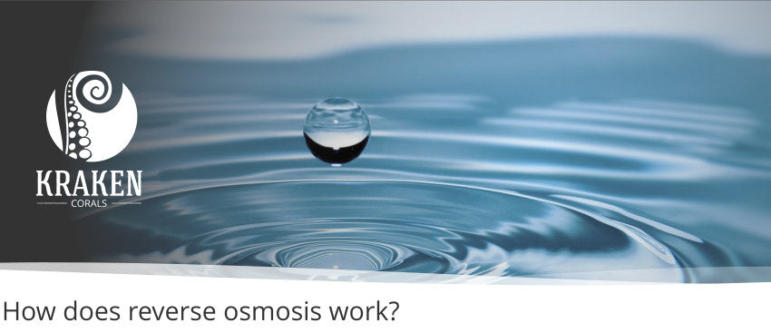 How Does Reverse Osmosis Work?