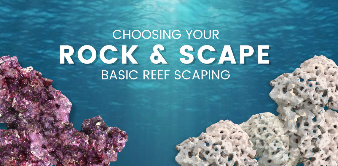 Choosing your Rock & Basic Reef Scaping