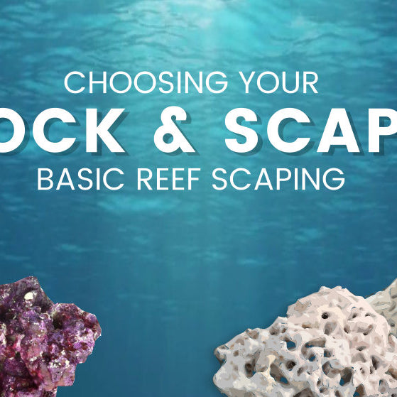 Choosing your Rock & Basic Reef Scaping