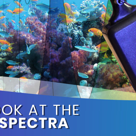 Seneye Spectra, Submersible spectrometer