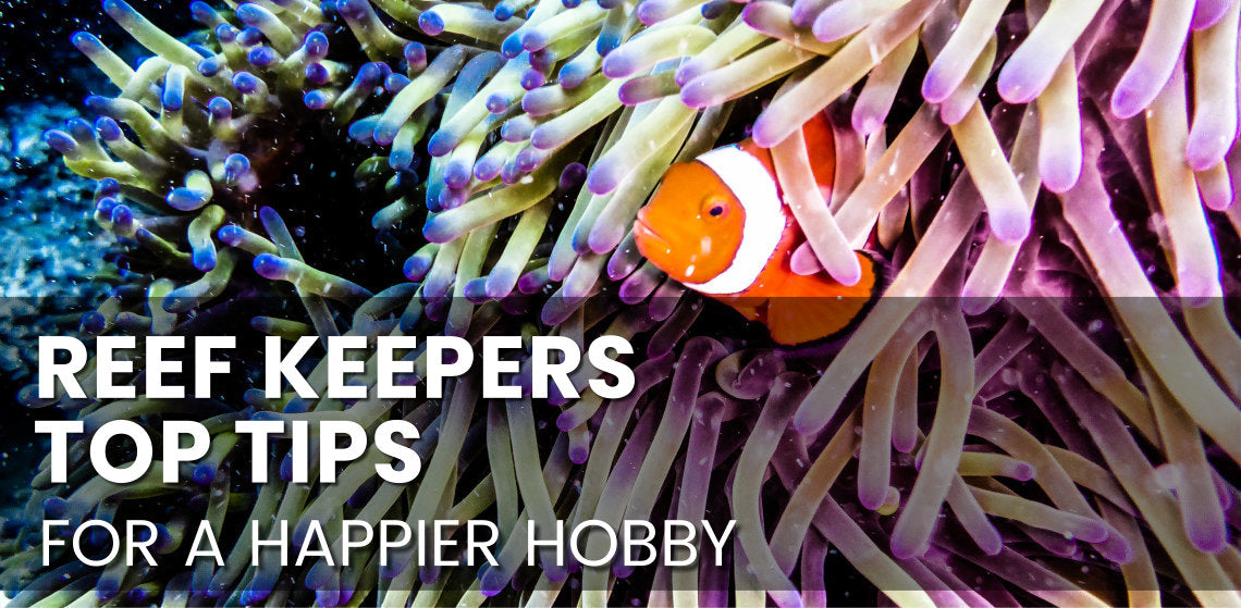 Reef Keepers Top Tips