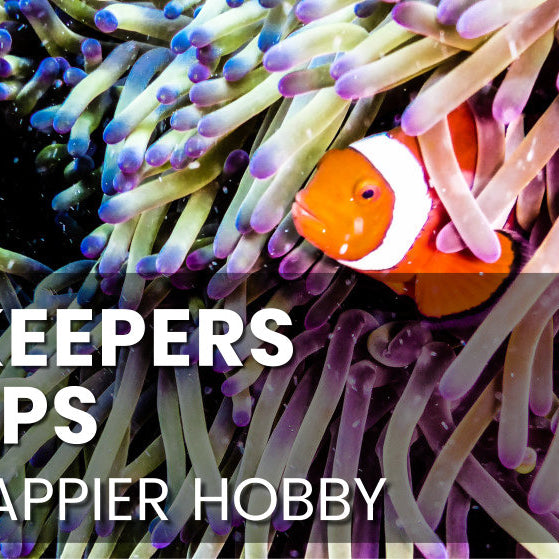 Reef Keepers Top Tips
