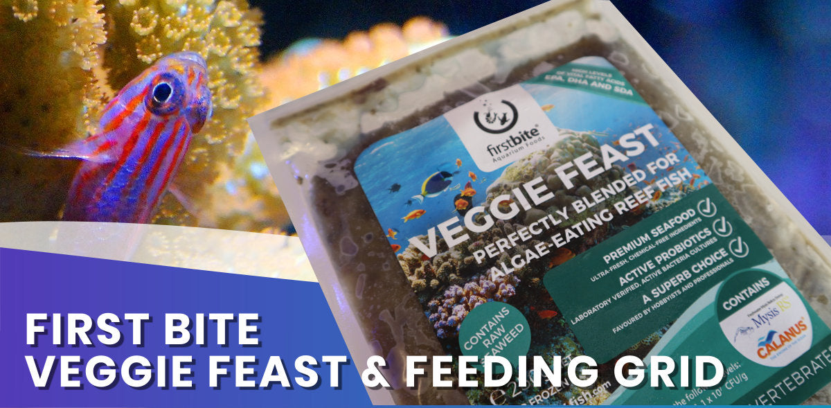 New Frozen Firstbite Veggie Feast