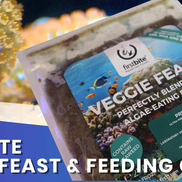 New Frozen Firstbite Veggie Feast