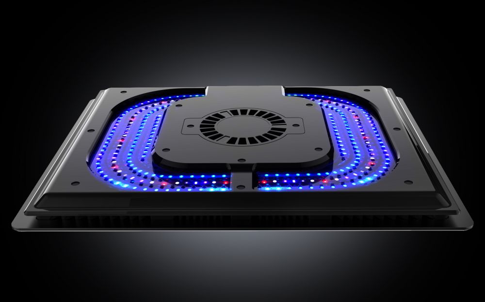 Maxspect Ethereal Infinite E8-230 — Kraken Corals