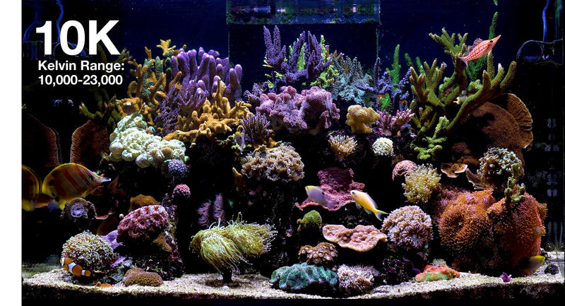 Red Sea ReefLED G2 115