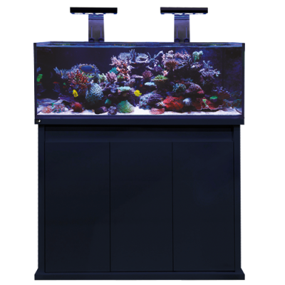 D-D Reef Pro 1200 Aquarium