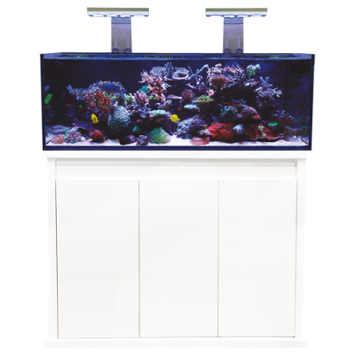 D-D Reef Pro 1200 Aquarium