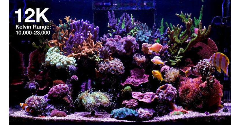 Red Sea ReefLED G2 115
