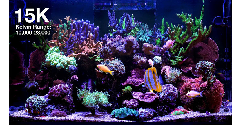 Red Sea ReefLED G2 115