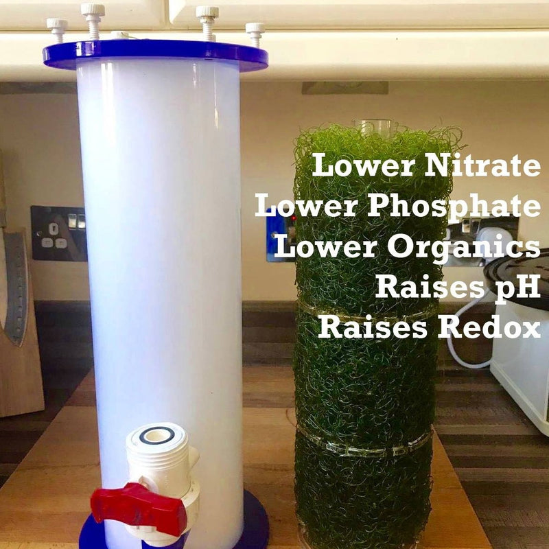 ALR 3 Algae Light Reactor