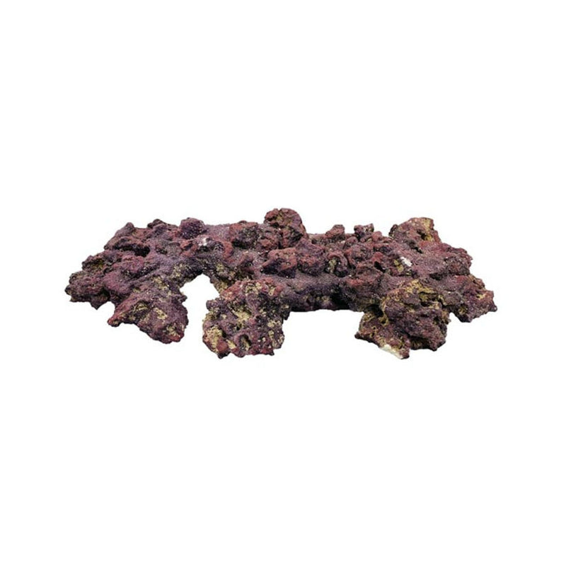 Caribsea Liferock Shelf 21 Inch