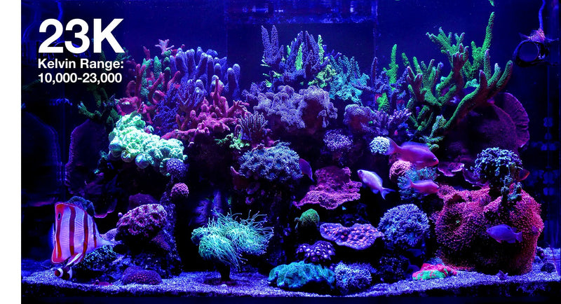 Red Sea ReefLED G2 115