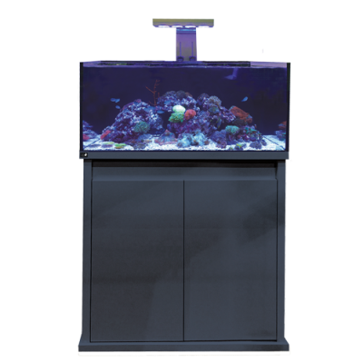 D-D Reef Pro 900 Aquarium