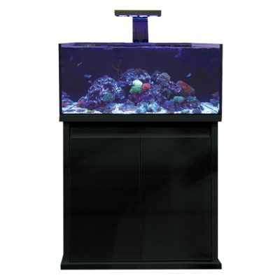 D-D Reef Pro 900 Aquarium