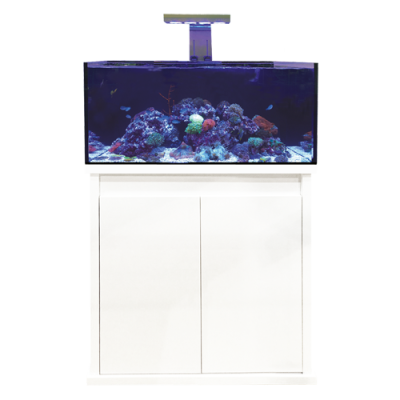 D-D Reef Pro 900 Aquarium