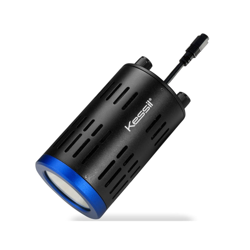Kessil A160WE Tuna Blue