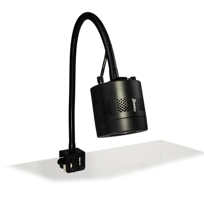 Kessil Gooseneck